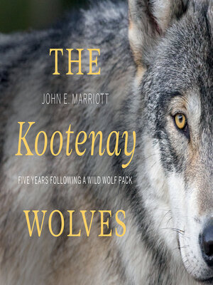 cover image of The Kootenay Wolves